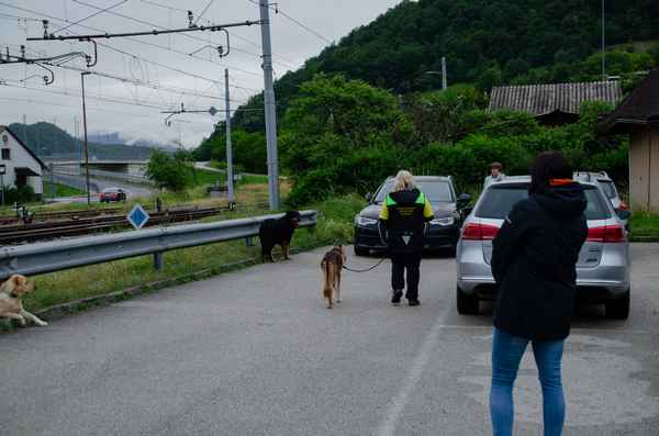 Pomladni tečaji uspešno zaključeni
